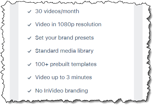 The InVideo Professional Plan