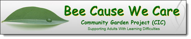 Bee Cause We Care Website, Wigan