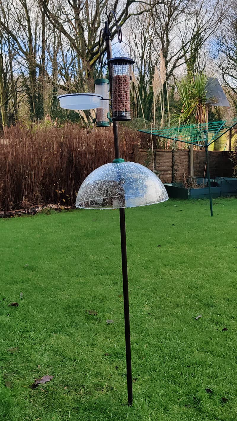 We bought a steel bird feeder and attached a squirrel baffle