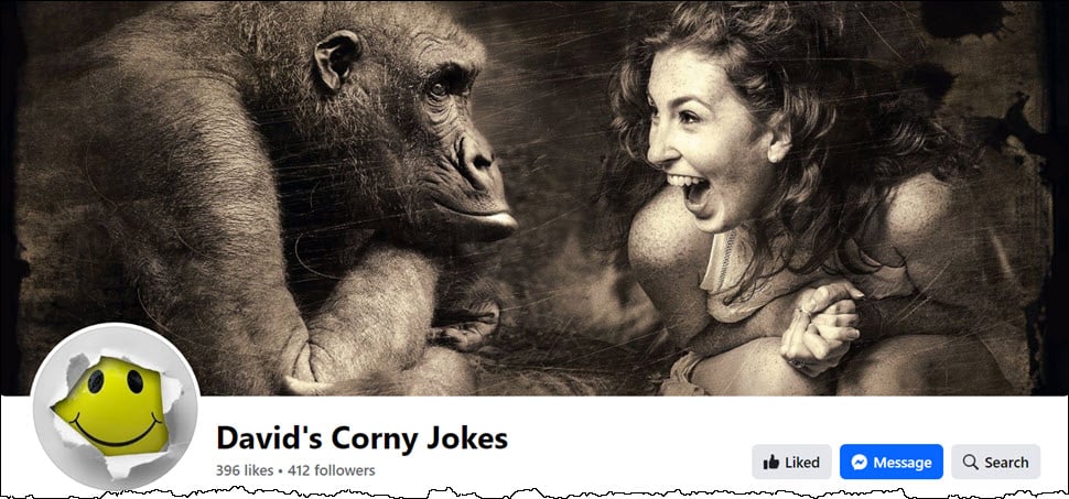 David's Corny Jokes